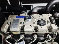 10-250kVA (Motor Perkins fabricado en China)