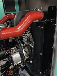 Generadores diésel con motor Yangdong